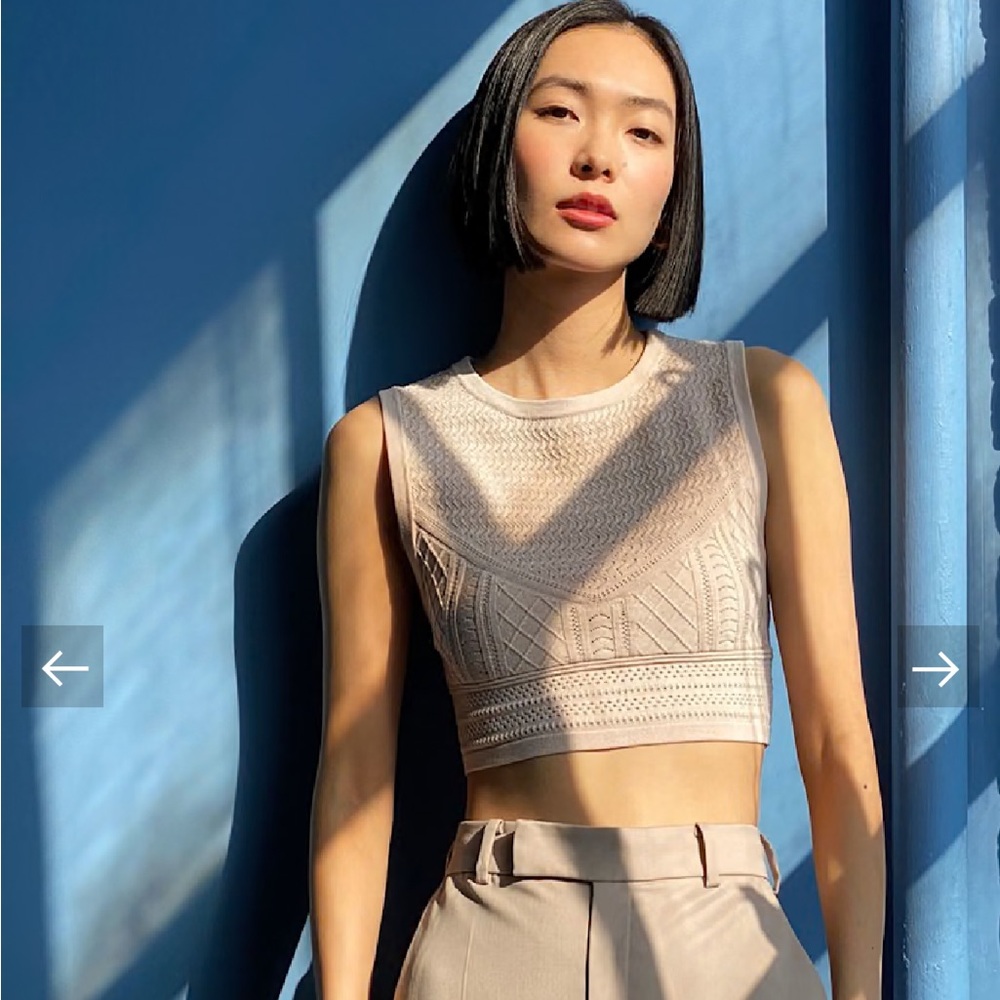 Aritzia Babaton Pointelle Sleeveless Sweater Knit Crop Top in Cream Beige - Picture 2 of 9